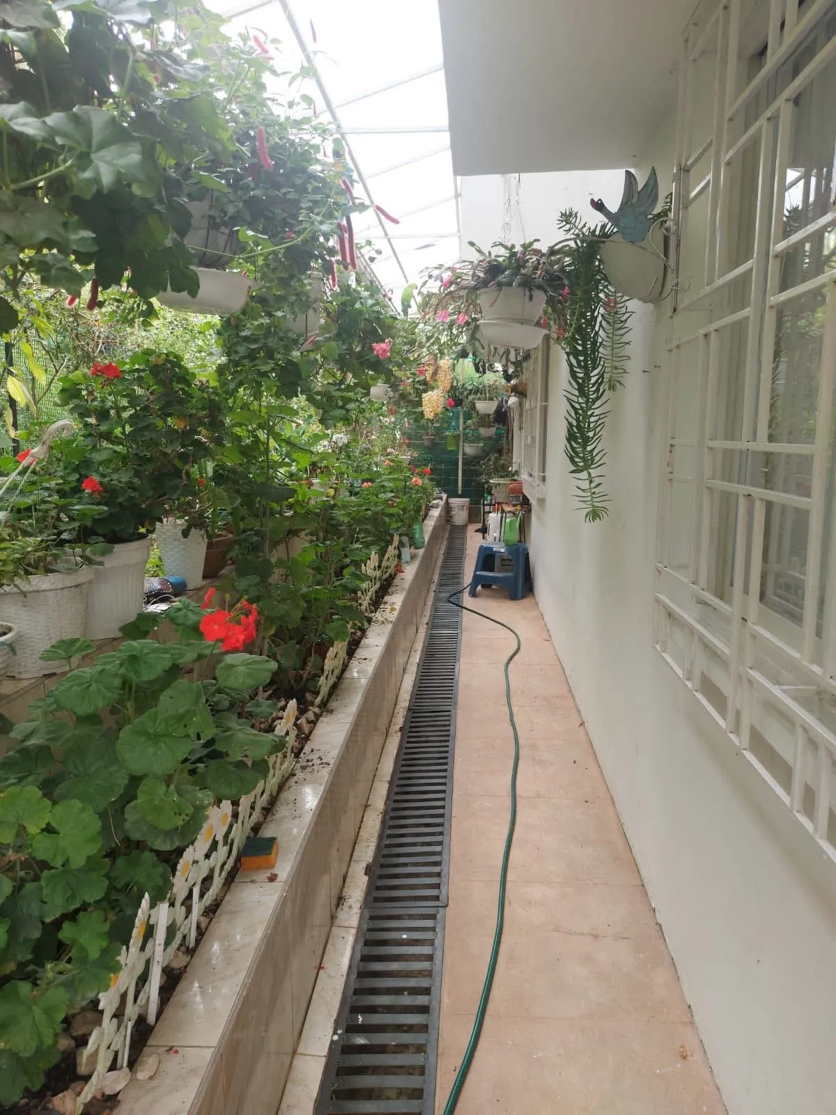 Casa esquinera villa alicia - Foto 7