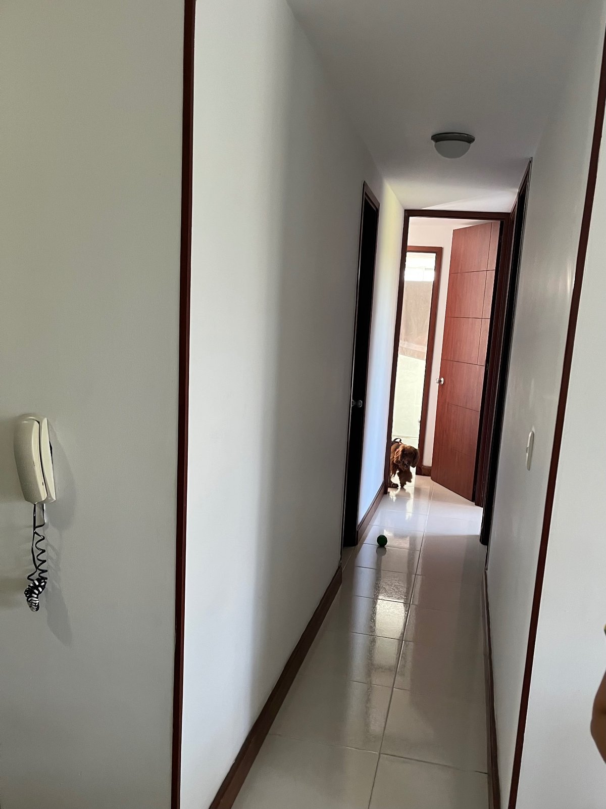 Apartamento Torres del bosque  - Foto 14