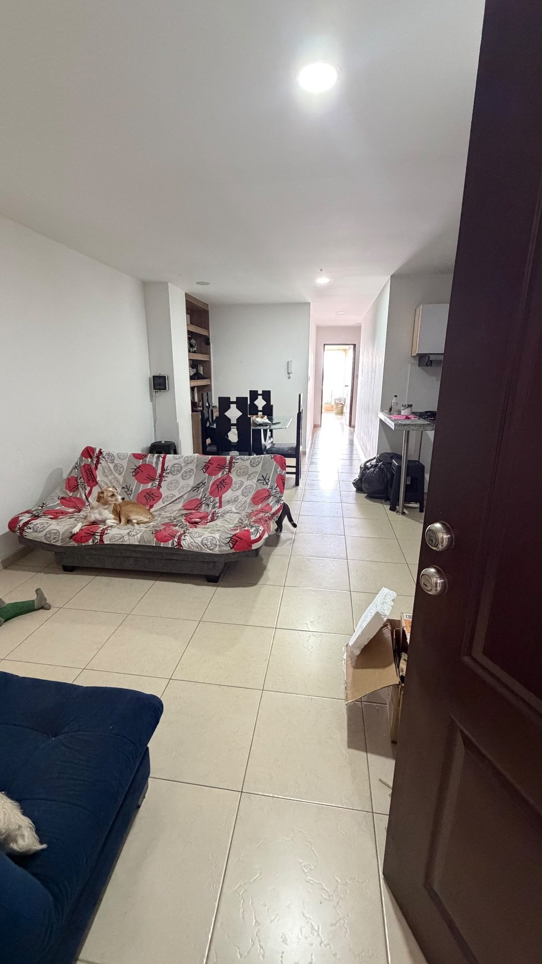 Amplio apartamento en campobello - Foto 8