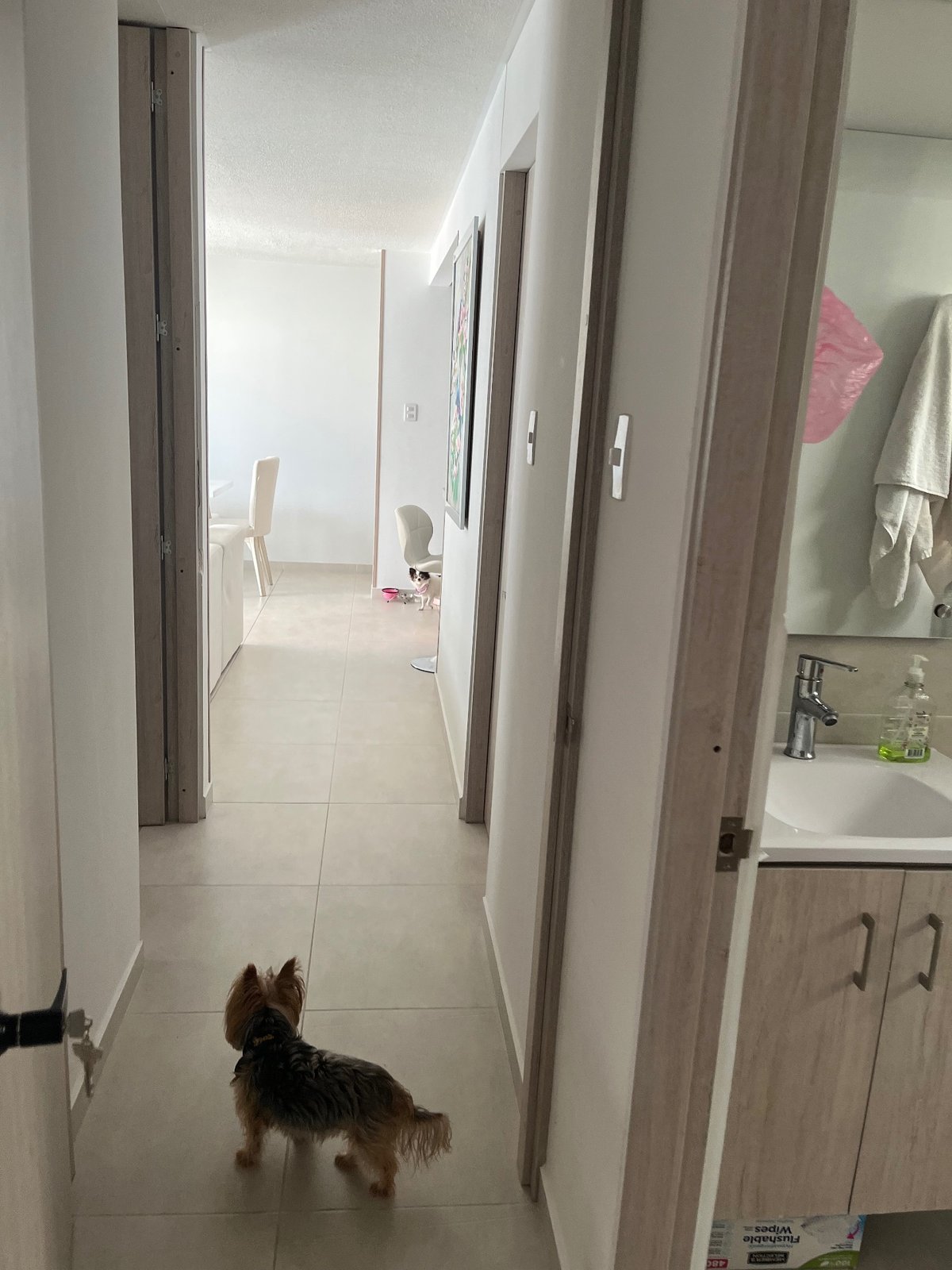 Hermoso apartamento en campobello  - Foto 10